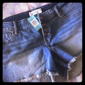 Never worn torrid jean shorts!